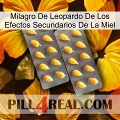 Leopard Miracle Of Honey Side Effects cialis2